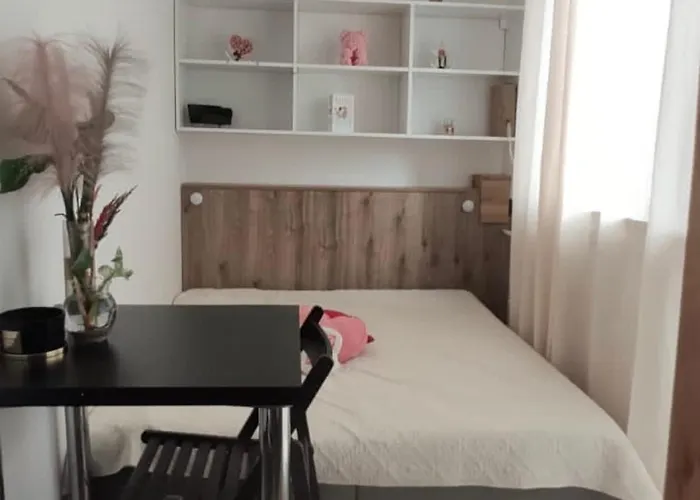 Radiant Bd Wejscie Na Kod Hostel *